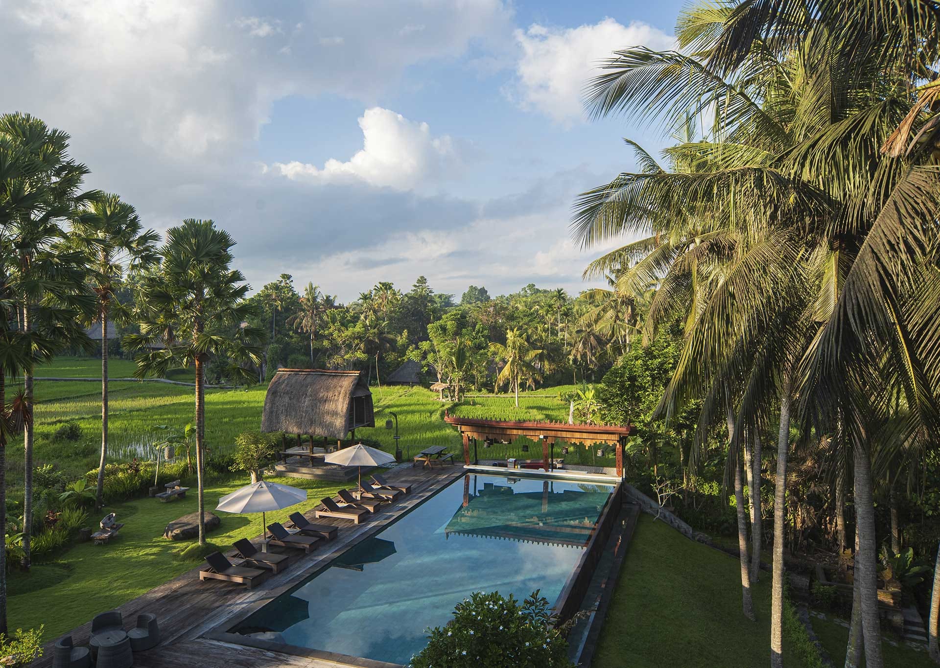 The Artini Dijiwa Ubud - 乌布巴厘岛酒店